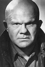 picture of actor Dick Wessel
