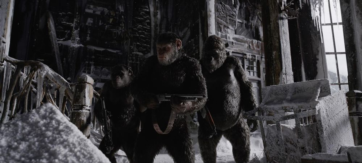 Imagen de La Guerra del Planeta de los simios