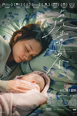 Montages of a Modern Motherhood