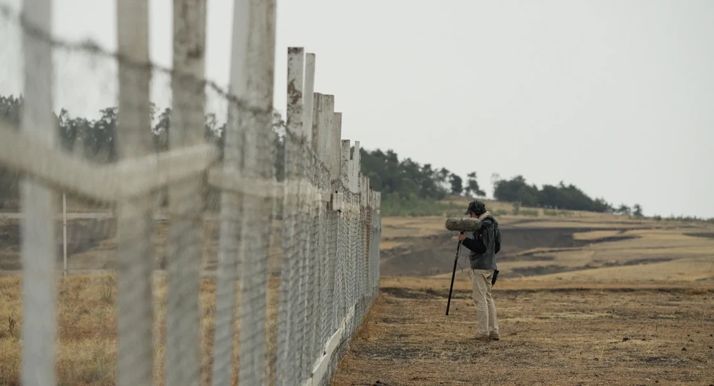 Imagen de an-open-field