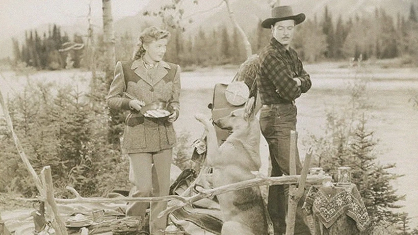 Imagen de La Estampida del Noroeste