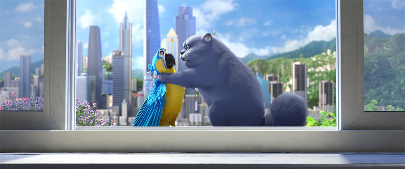 Imagen de Gatos