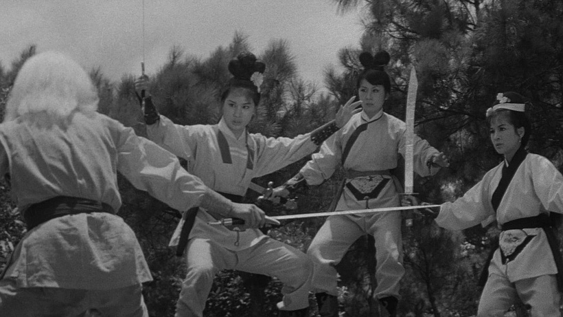 Imagen de Vengeance of the Phoenix Sisters