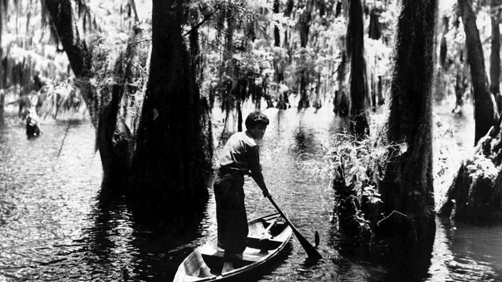 Imagen de Louisiana Story