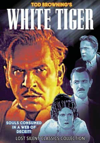 poster of content El Tigre blanco