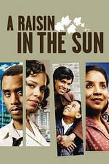 poster of movie Una Sombra en el Sol (2008)