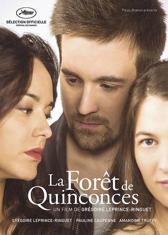 Poster de La forêt de Quinconces