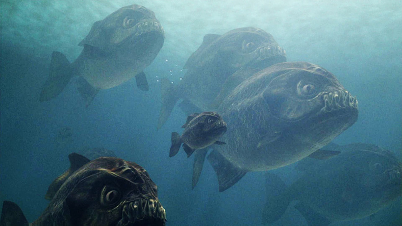 Imagen de Mega Piraña