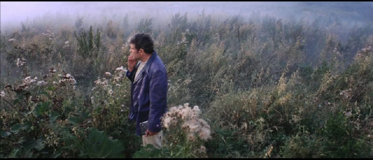 Imagen de Solaris