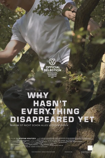 Poster de Why Hasn't Everything Disappeared Yet