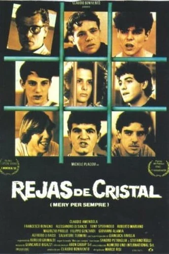 Poster de Rejas de Cristal
