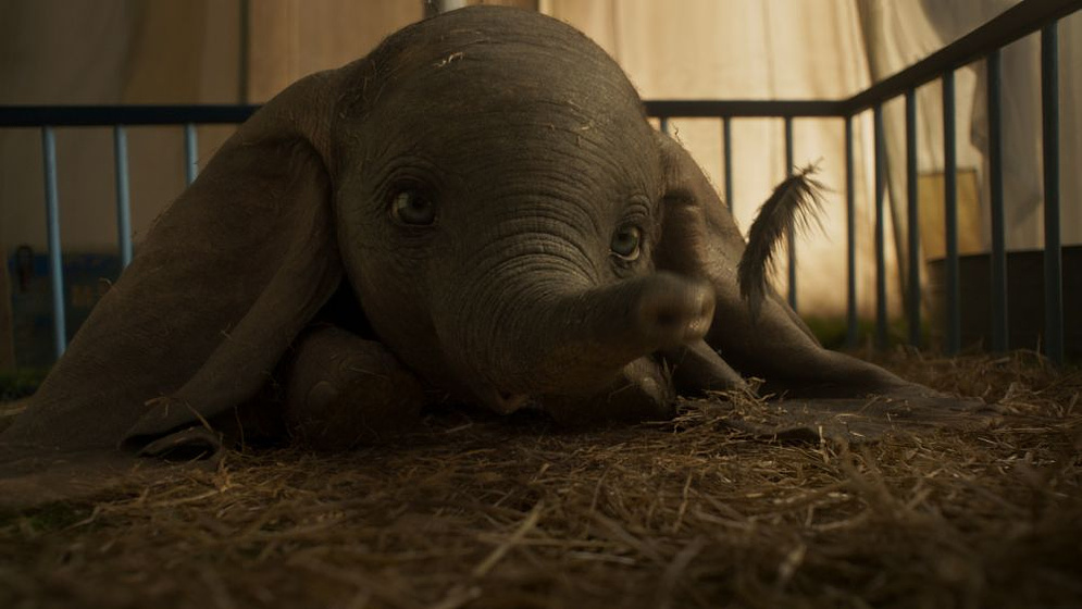 Imagen de Dumbo