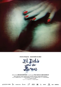 poster of movie El Diablo entre las Piernas