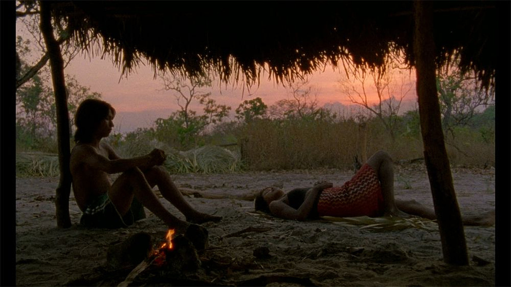 Imagen de El Canto de la Selva