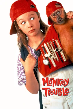 poster of movie Un Ladrón de cuatro Manos