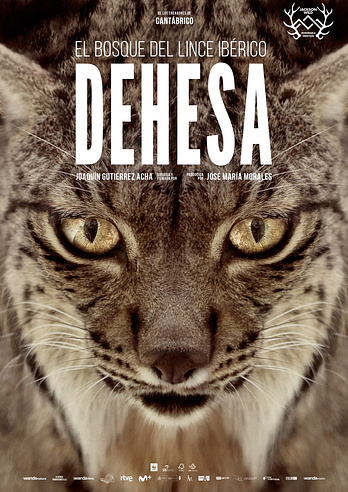 poster of content Dehesa, el Bosque del lince ibérico