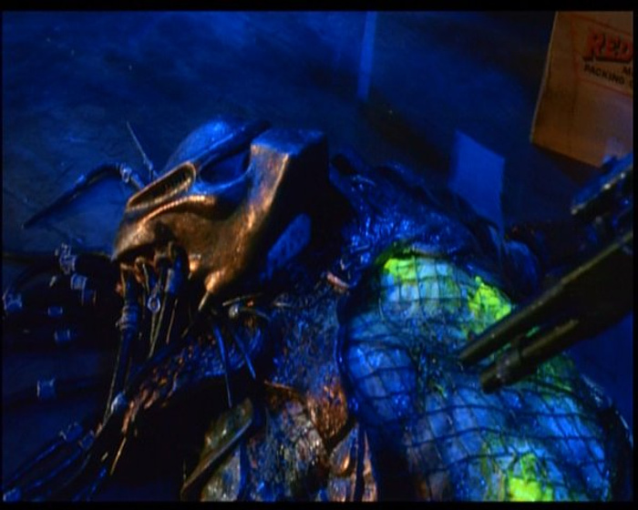 Imagen de Depredador 2