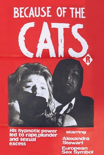 Poster de Because of the Cats