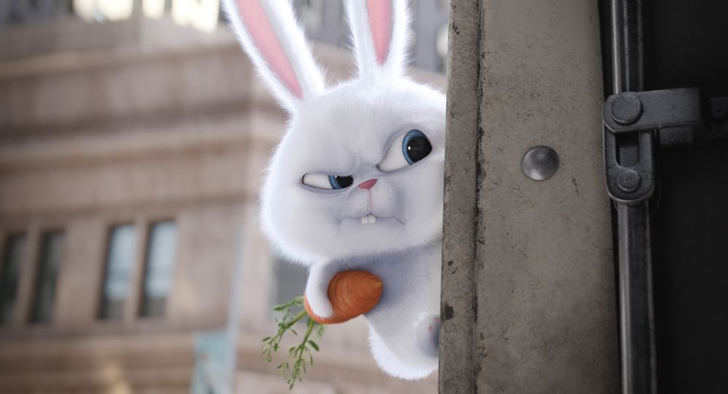 Imagen de Mascotas