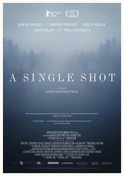 poster of movie A Single Shot