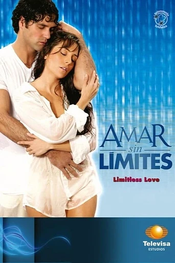 Poster de Amar sin Límites