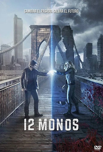 Poster de 12 monos