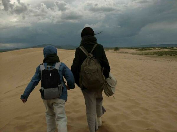 Imagen de Sueños del desierto