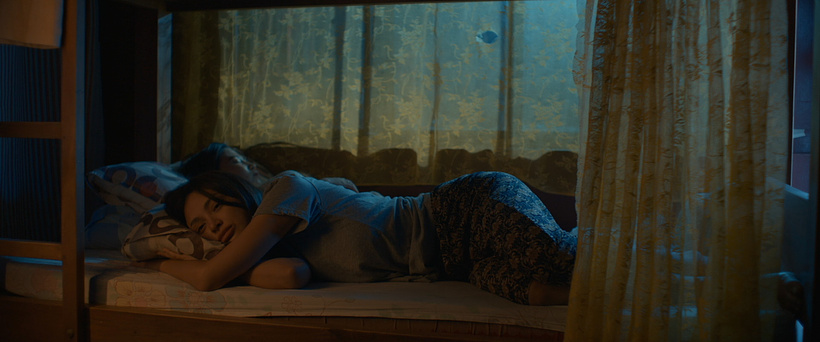 Imagen de Criada Prohibida