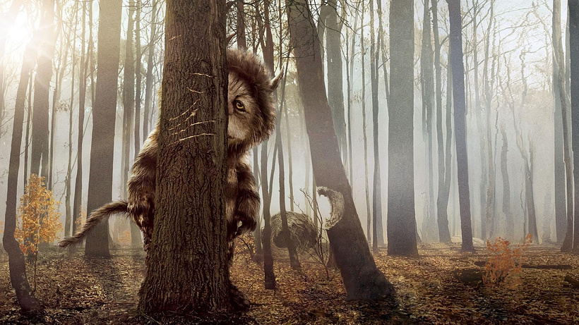 Imagen de Donde viven los monstruos