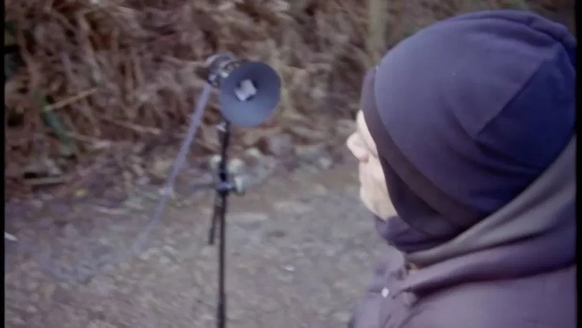 Imagen de The Peter Plan