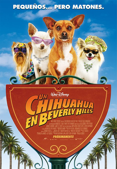 Imagen de Un Chihuahua en Beverly Hills (Cartel)