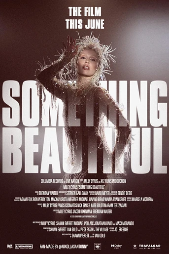 Poster de Something Beautiful