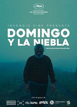 poster of movie Domingo y la niebla