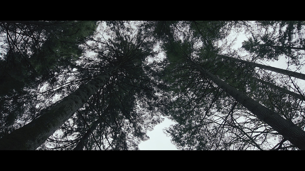 Imagen de lost-for-words