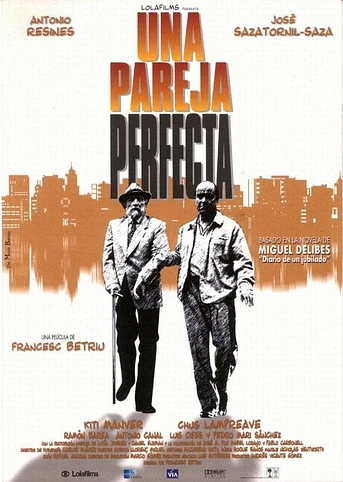Poster de Una Pareja Perfecta