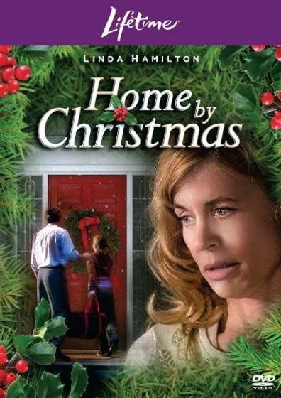 Imagen de una-casa-para-navidad (Cartel)