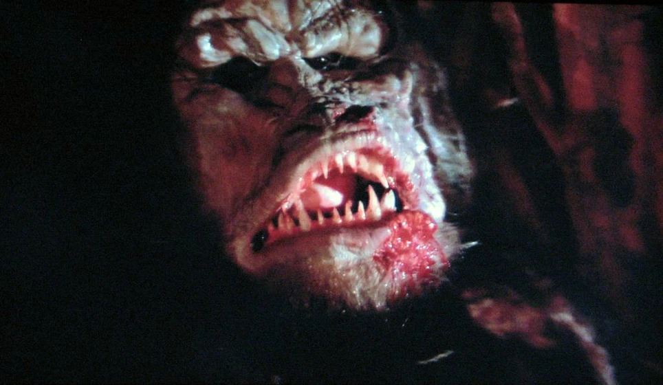 Imagen de proyecto-terror