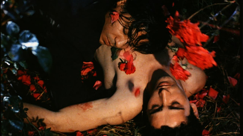 Imagen de The Rose King