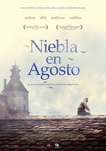 Poster de Niebla en Agosto