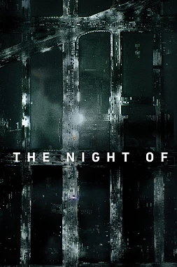 poster for the season 1 of The Night Of