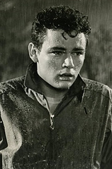 picture of actor Rod Lauren