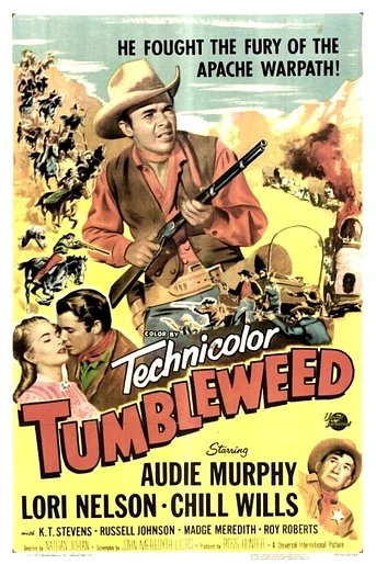 Poster de Sombras en el Rancho
