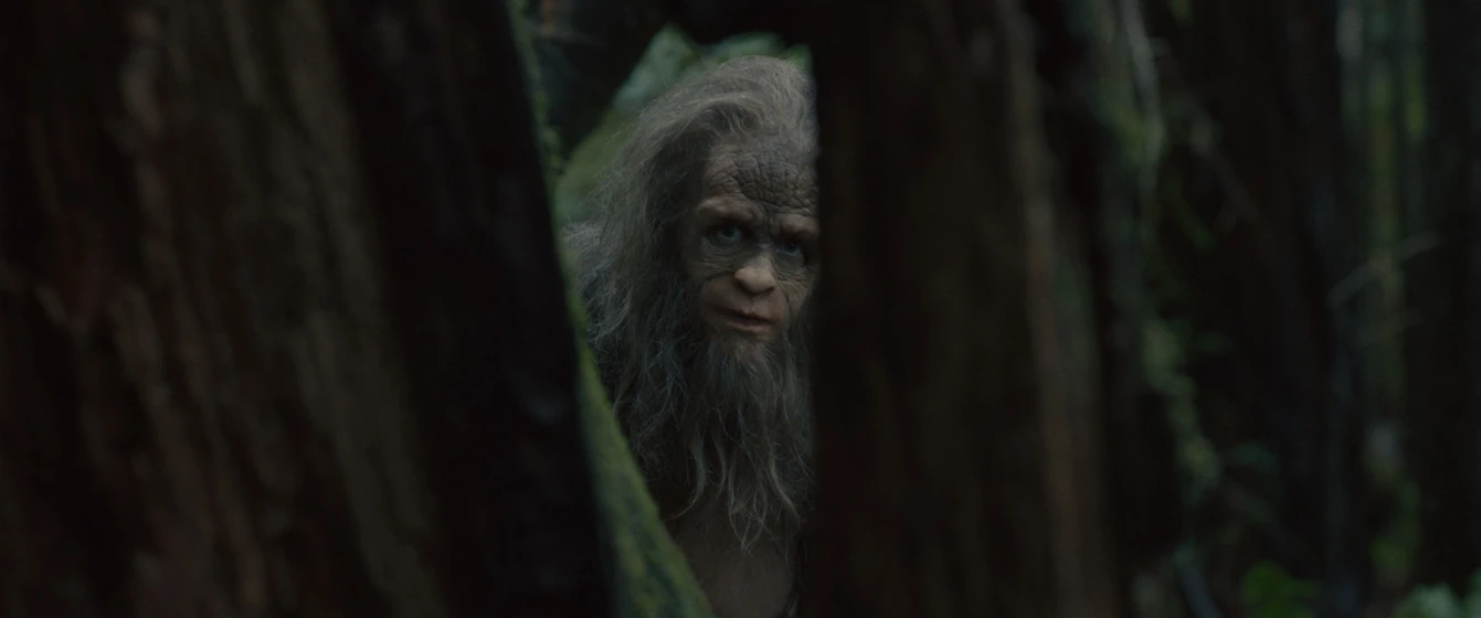 Imagen de sasquatch-sunset
