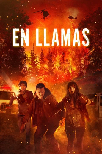 Poster de En Llamas