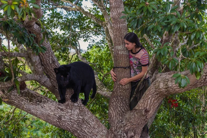 Lumi Pollack en emma-y-el-jaguar-negro