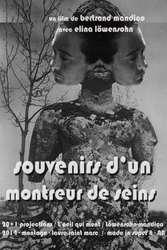 Poster de Souvenirs d'un montreur de seins