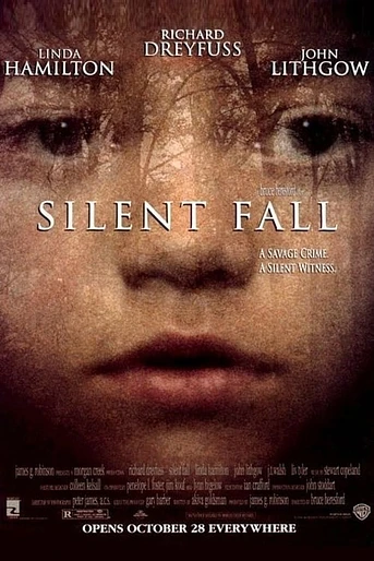 Poster de Un Testigo en Silencio