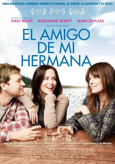 Imagen de el-amigo-de-mi-hermana (Cartel)