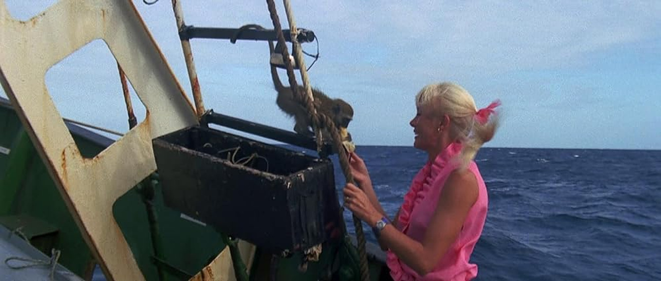 Imagen de agua-azul-muerte-blanca