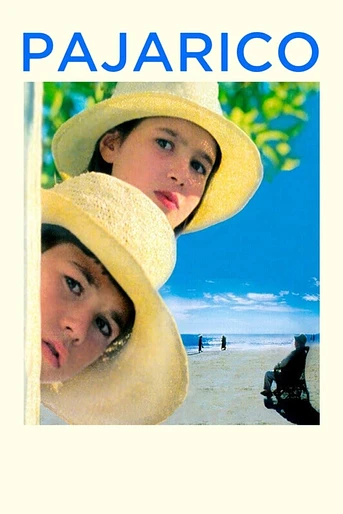 Poster de Pajarico